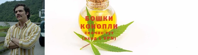шишки Липки
