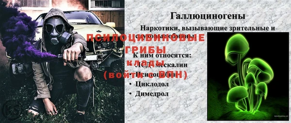 прущий лед Каменка