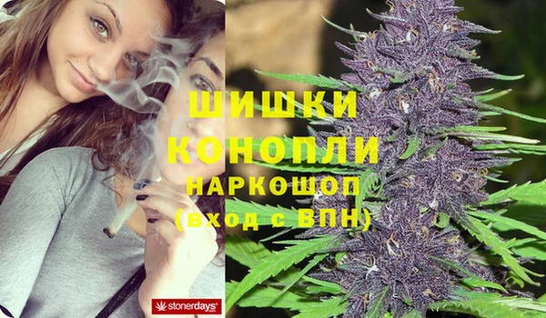 трава Магас