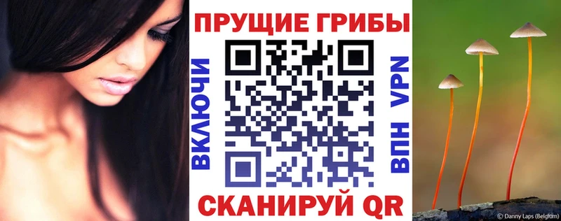 Галлюциногенные грибы Cubensis Нязепетровск
